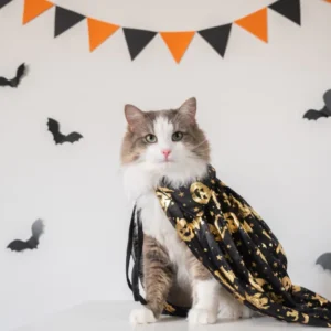 product-thumb-6_optimized Vestibulum Morbi